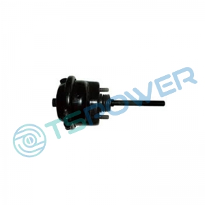 DAF BRAKE CHAMBER 005